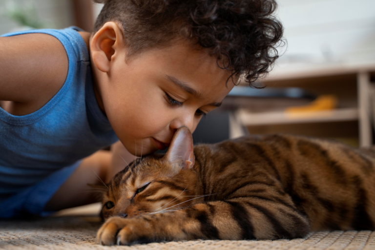 Alergias respiratórias, asma e gatos: entenda os mitos