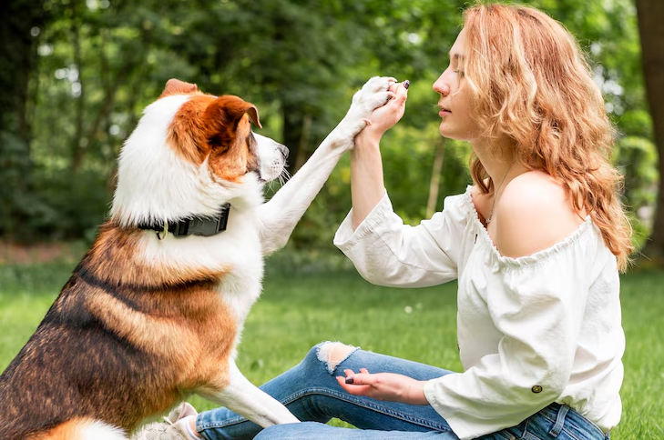 Você Fala a Língua do Seu Pet?